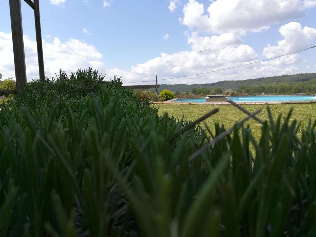 Villa La Guionie Montignac Lascaux Экстерьер фото